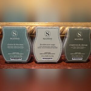 Scentsy Wax Melts (3)